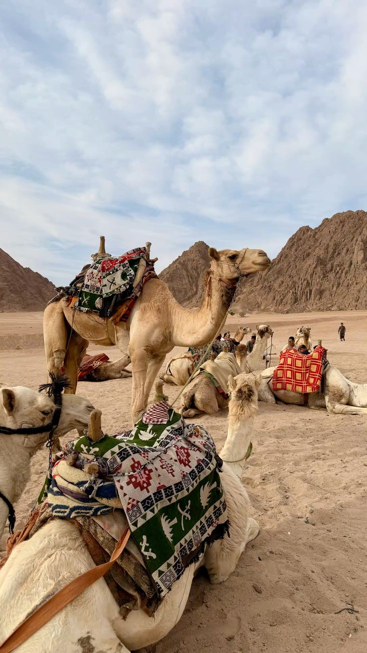 Cairo: Pyramids & Great Sphinx Private Tour with Camel Ride - Image 5