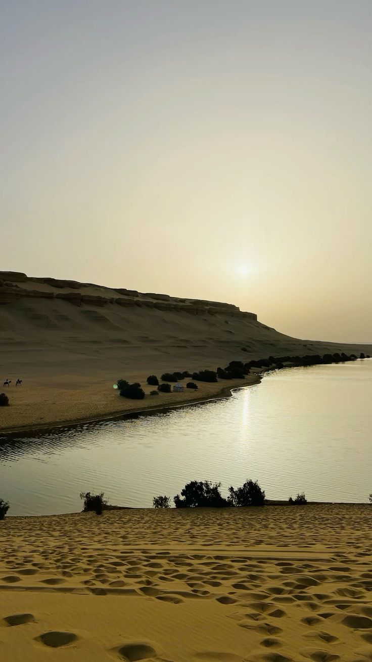 From Cairo: Full-Day Tour to El Fayoum - Image 6