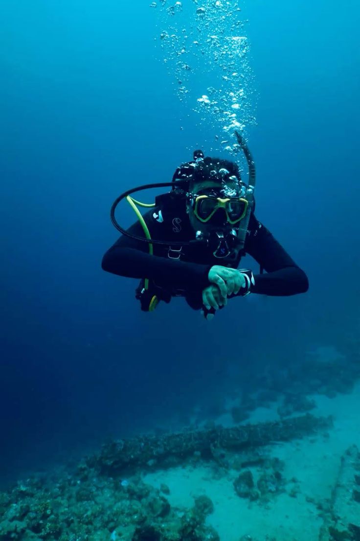 Hurghada: Dolphin House Yacht Trip, Swim with Dolphins & Lunch - Image 2