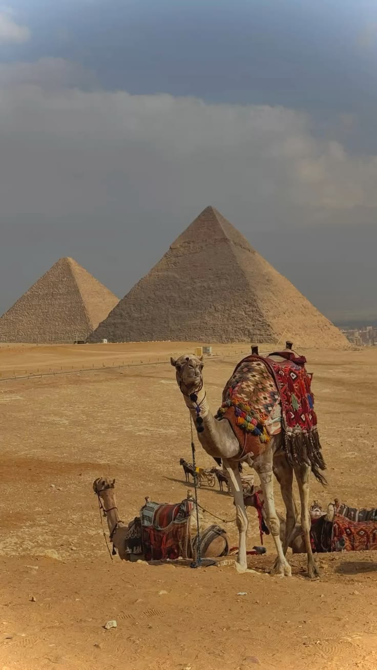 Hurghada: Cairo Day Trip by Flight, Pyramids, Sphinx & Museum - Image 3