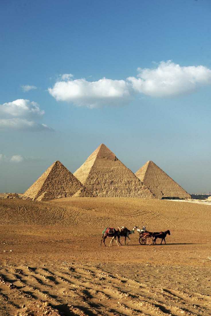 Cairo: Pyramids & Great Sphinx Private Tour with Camel Ride - Image 6