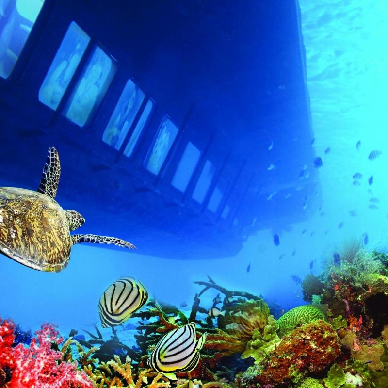 Hurghada: Royal Seascope Submarine Cruise with Snorkel Stop - Image 6