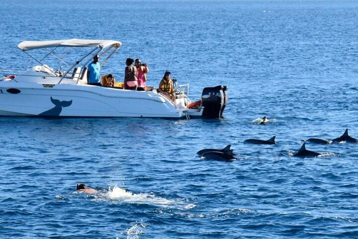 Hurghada: Speedboat, Dolphins, Snorkeling & 2 Islands - Image 2