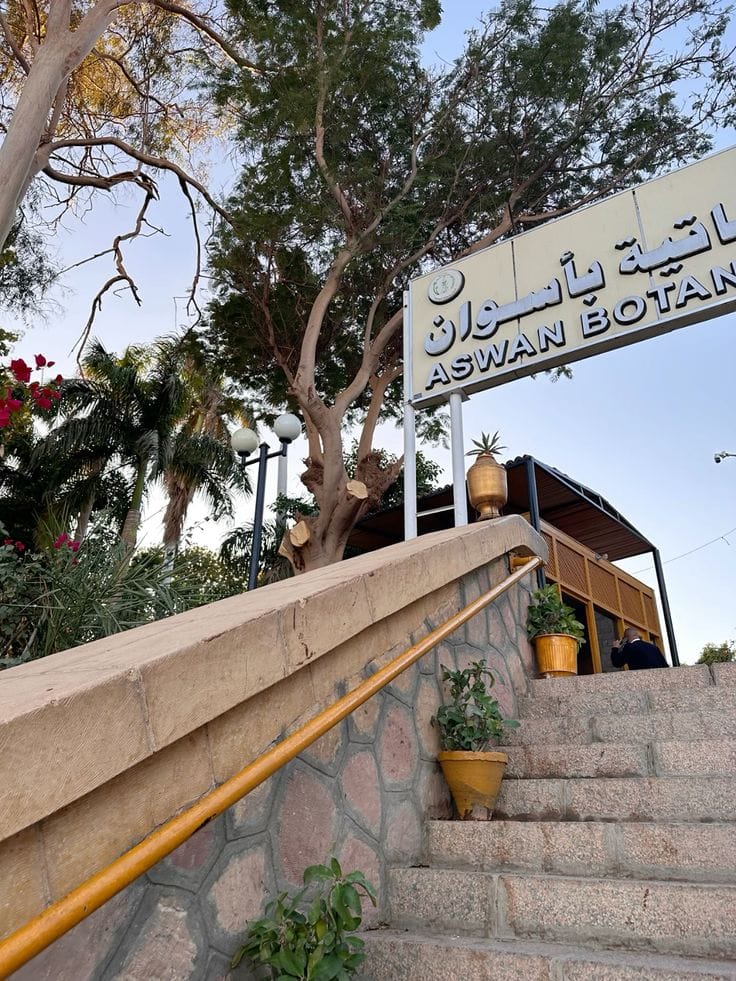 Aswan Felucca Ride to Elephantine Island & Botanical Garden - Image 2