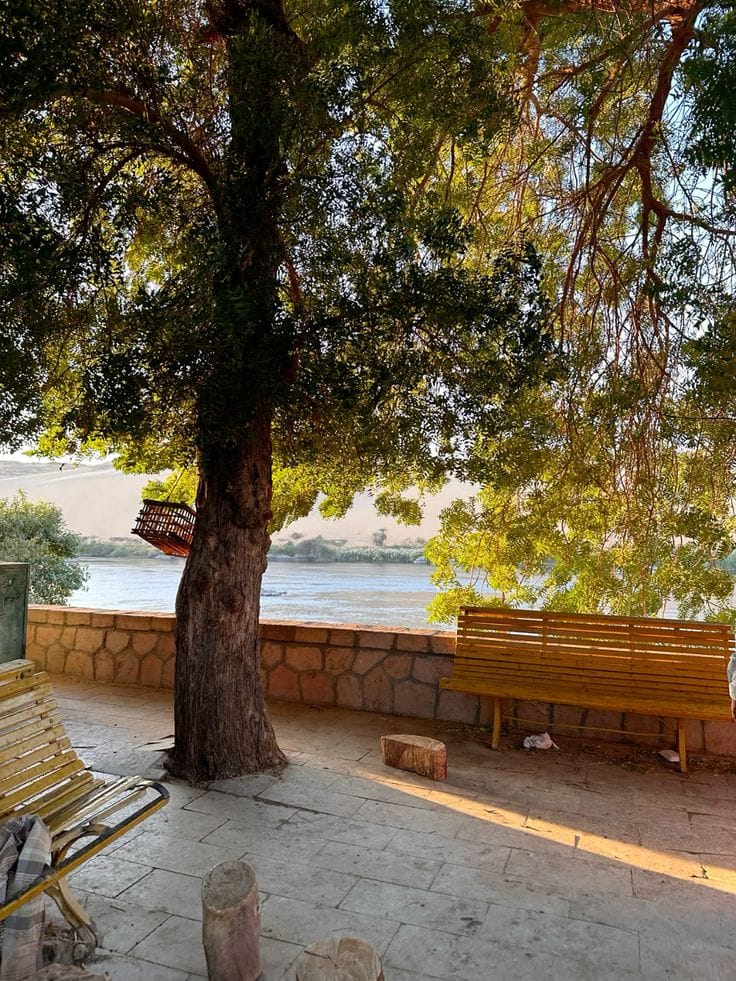 Aswan Felucca Ride to Elephantine Island & Botanical Garden - Image 3