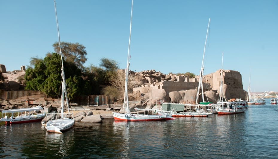Aswan Felucca Ride to Elephantine Island & Botanical Garden - Image 4
