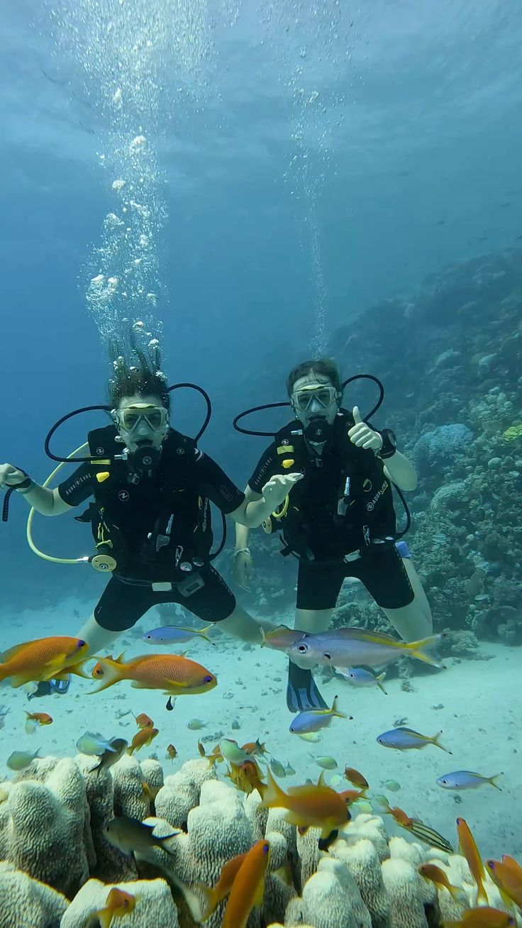 Hurghada: Royal Seascope Submarine Cruise with Snorkel Stop - Image 4