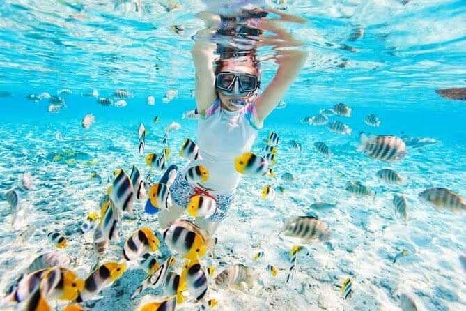 Sharm El Sheikh: Tiran Island Cruise, Snorkel & Dive with Lunch - Image 7