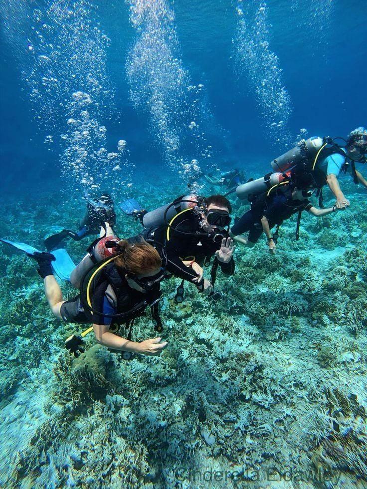 From Sharm El Sheikh: Jeep Adventure to Blue Hole, Canyon & Dahab - Image 4