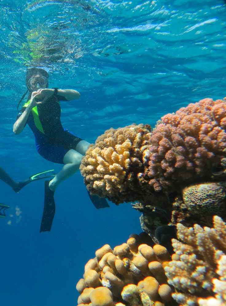 Sharm El Sheikh: Luxury Ras Mohammed & White Island Cruise - Image 6
