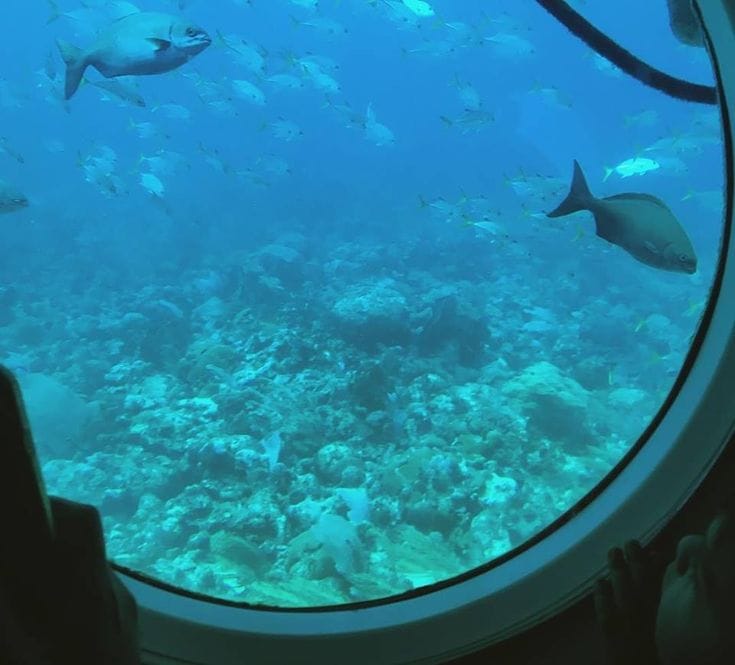 Sharm El-Sheikh: Seascope Submarine Boat Cruise with Pickup - Image 6