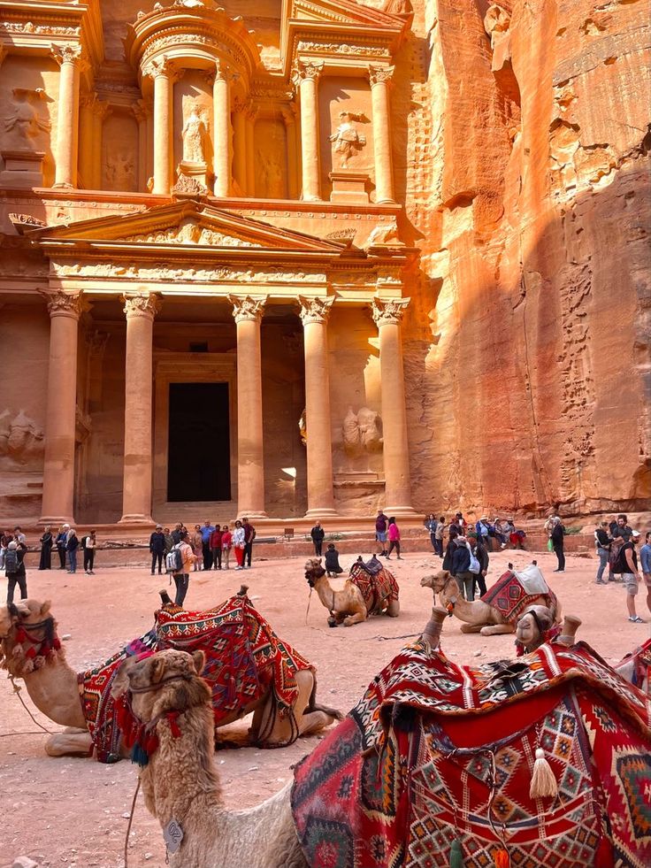 From Sharm El Sheikh: Day Tour to Petra by Ferry