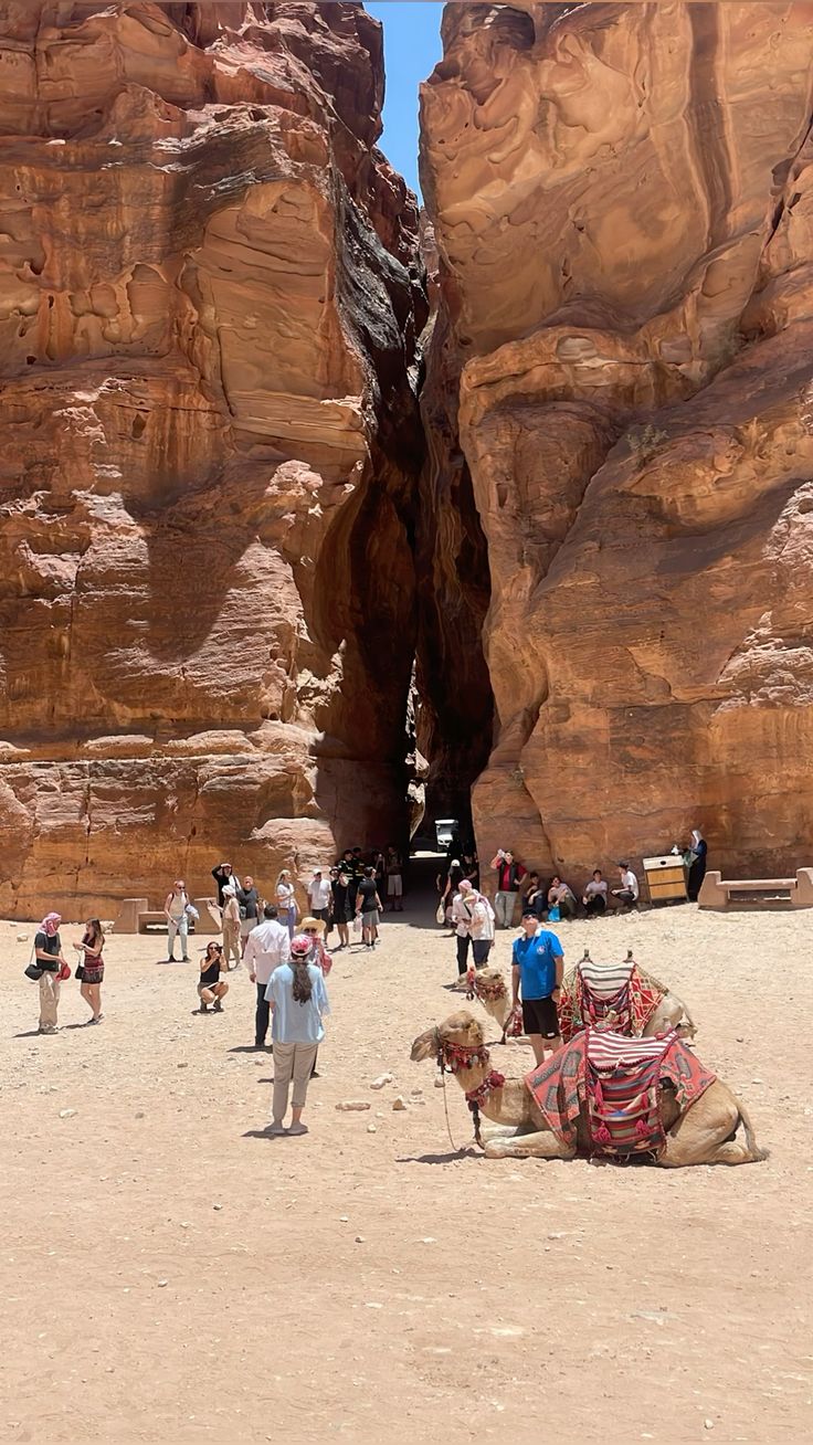 From Sharm El Sheikh: Day Tour to Petra by Ferry - Image 6