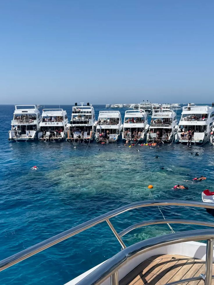 From Sharm El Sheikh: White Island and Ras Mohamed Snorkeling Trip - Image 7