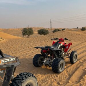 Sharm El Sheikh: 5-in-1 Quad, Camel, Dinner & Stargazing