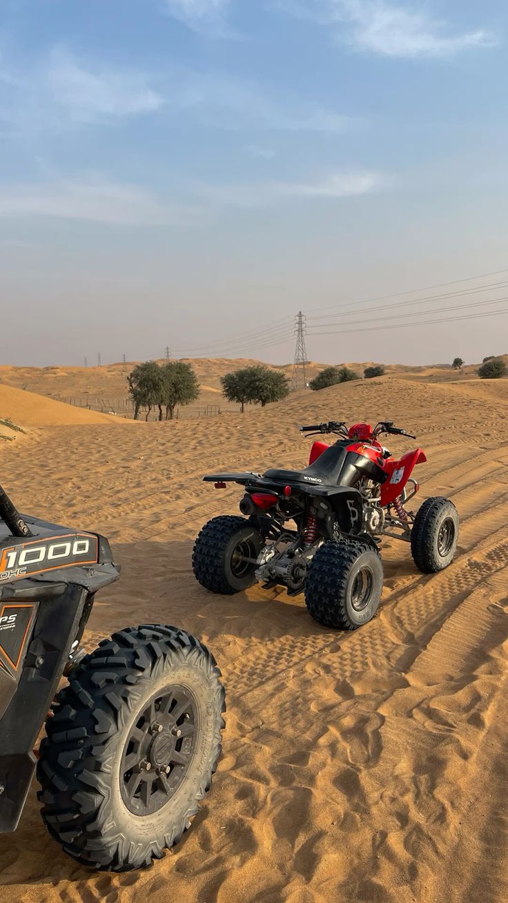 Sharm El Sheikh: 5-in-1 Quad, Camel, Dinner & Stargazing