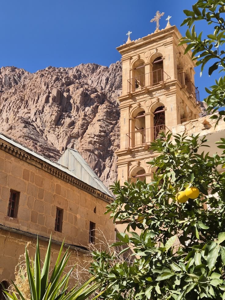 From Sharm El Sheikh: Cairo, Pyramids, Sphinx & GEM Museum by Bus - Image 7